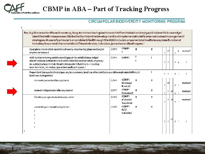 CBMP in ABA – Part of Tracking Progress CIRCUMPOLAR BIODIVERSITY MONITORING PROGRAM 