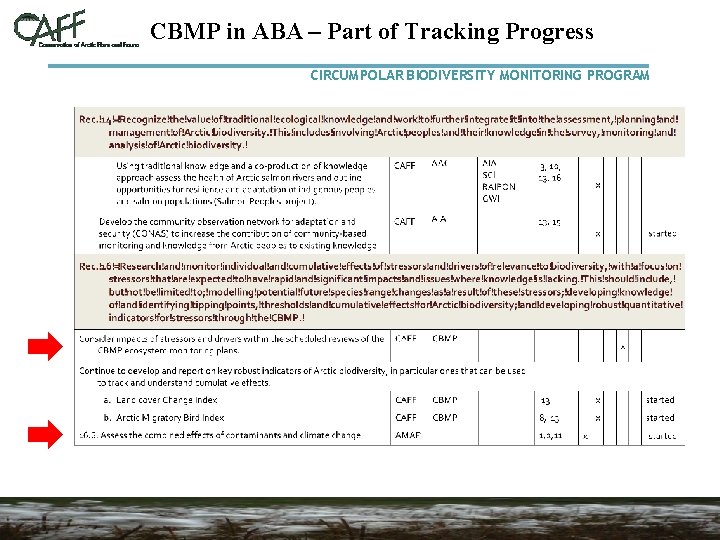 CBMP in ABA – Part of Tracking Progress CIRCUMPOLAR BIODIVERSITY MONITORING PROGRAM 
