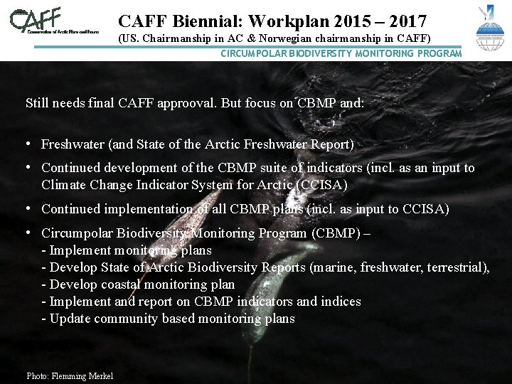 CAFF Biennial: Workplan 2015 – 2017 (US. Chairmanship in AC & Norwegian chairmanship in