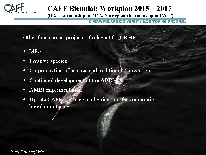 CAFF Biennial: Workplan 2015 – 2017 (US. Chairmanship in AC & Norwegian chairmanship in