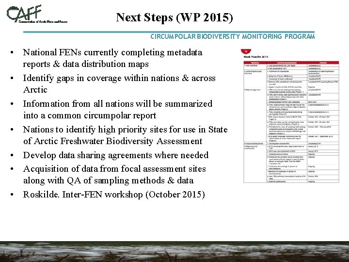 Next Steps (WP 2015) CIRCUMPOLAR BIODIVERSITY MONITORING PROGRAM • National FENs currently completing metadata