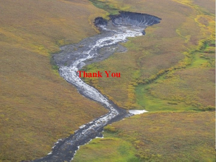CIRCUMPOLAR BIODIVERSITY MONITORING PROGRAM Thank You 