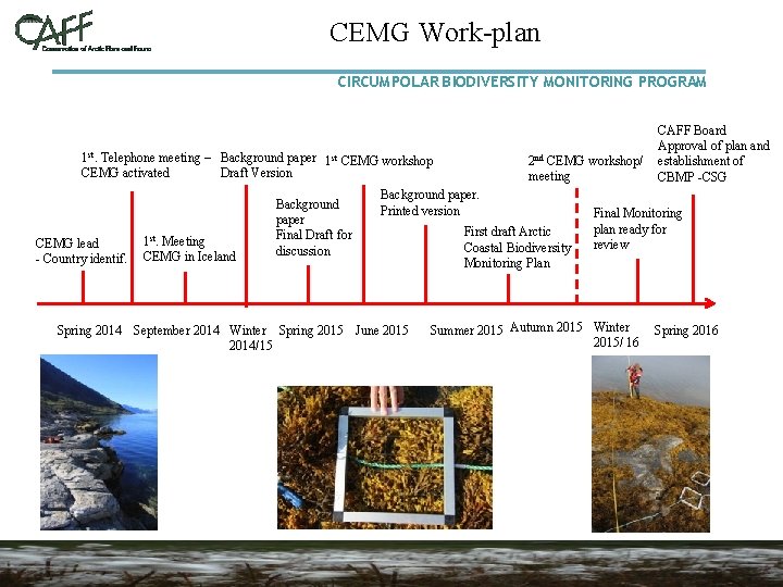 CEMG Work-plan CIRCUMPOLAR BIODIVERSITY MONITORING PROGRAM 1 st. Telephone meeting – Background paper 1