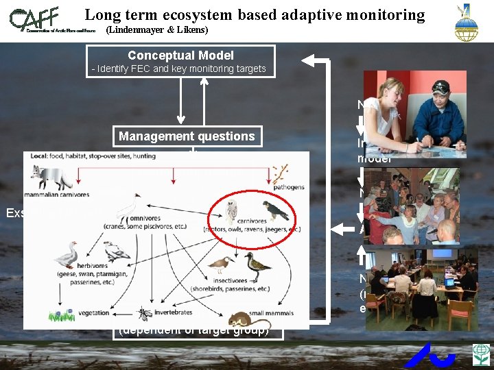 Long term ecosystem based adaptive monitoring (Lindenmayer & Likens) CIRCUMPOLAR BIODIVERSITY MONITORING PROGRAM Conceptual