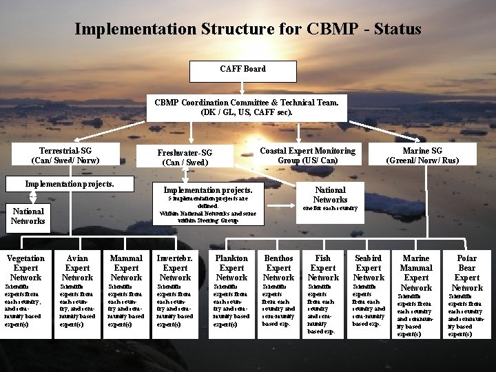 Implementation Structure for CBMP - Status CIRCUMPOLAR BIODIVERSITY MONITORING PROGRAM CAFF Board CBMP Coordination