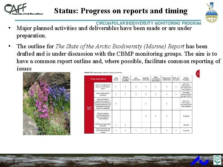 Status: Progress on reports and timing CIRCUMPOLAR BIODIVERSITY MONITORING PROGRAM • Major planned activities
