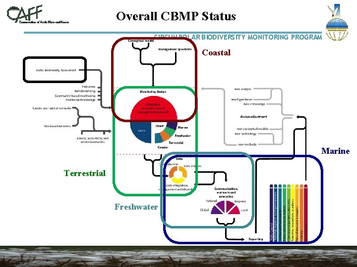 Overall CBMP Status CIRCUMPOLAR BIODIVERSITY MONITORING PROGRAM Coastal Marine Terrestrial Freshwater 