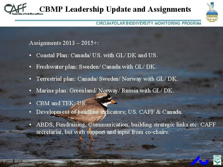 CBMP Leadership Update and Assignments CIRCUMPOLAR BIODIVERSITY MONITORING PROGRAM Assignments 2013 – 2015+: •