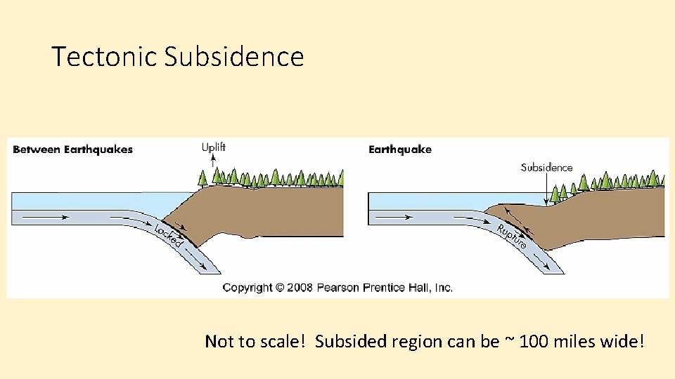 Tectonic Subsidence Not to scale! Subsided region can be ~ 100 miles wide! 