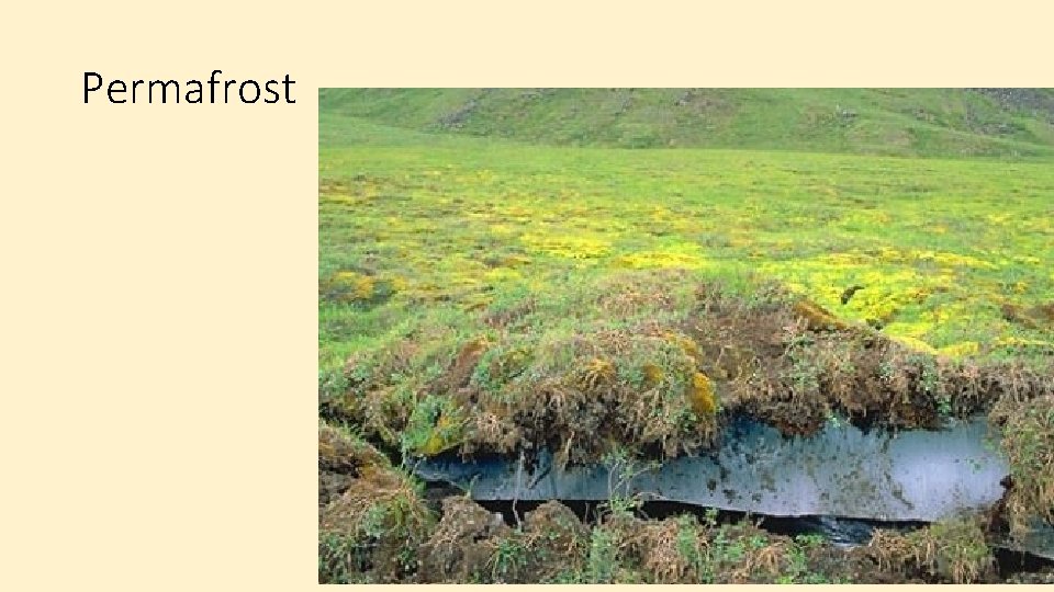Permafrost 