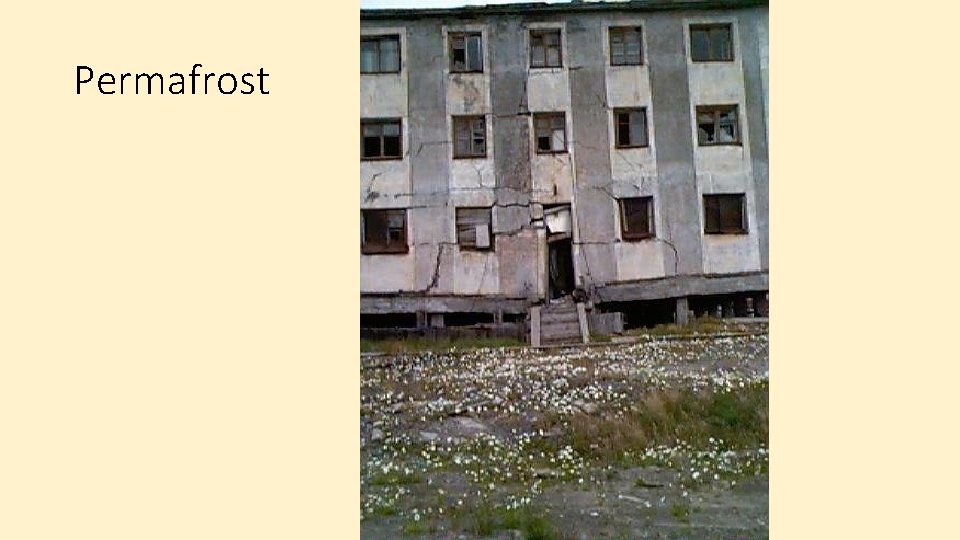 Permafrost 