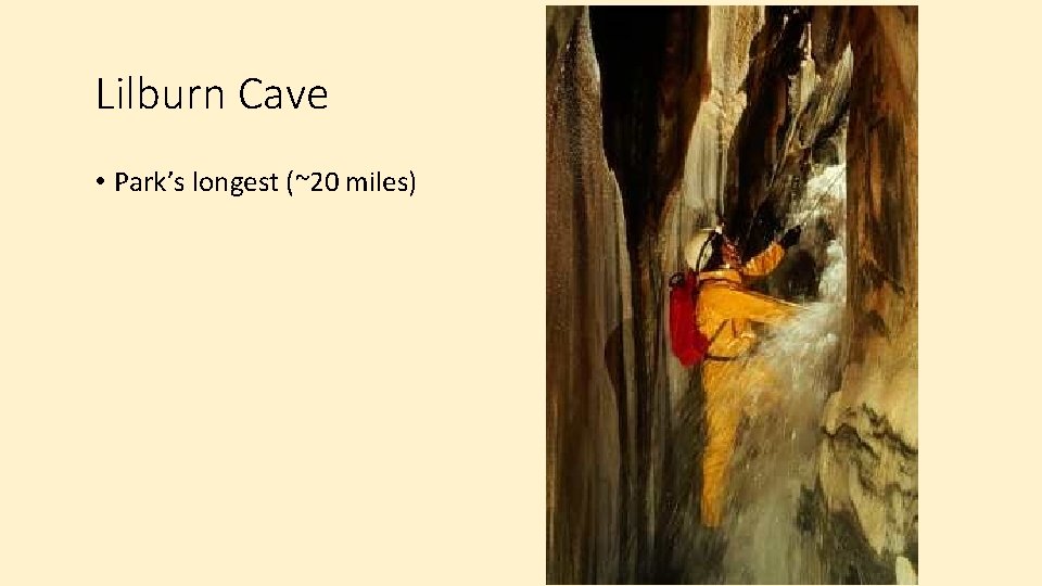 Lilburn Cave • Park’s longest (~20 miles) 