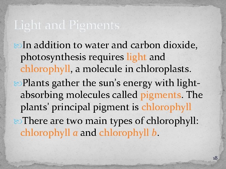 Light and Pigments In addition to water and carbon dioxide, photosynthesis requires light and