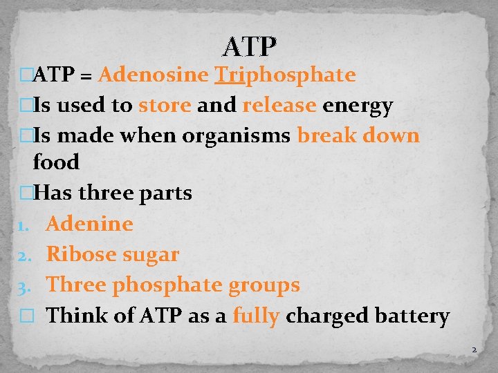 ATP �ATP = Adenosine Triphosphate �Is used to store and release energy �Is made