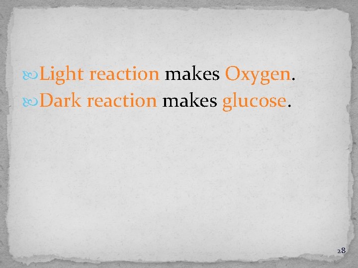  Light reaction makes Oxygen. Dark reaction makes glucose. 28 