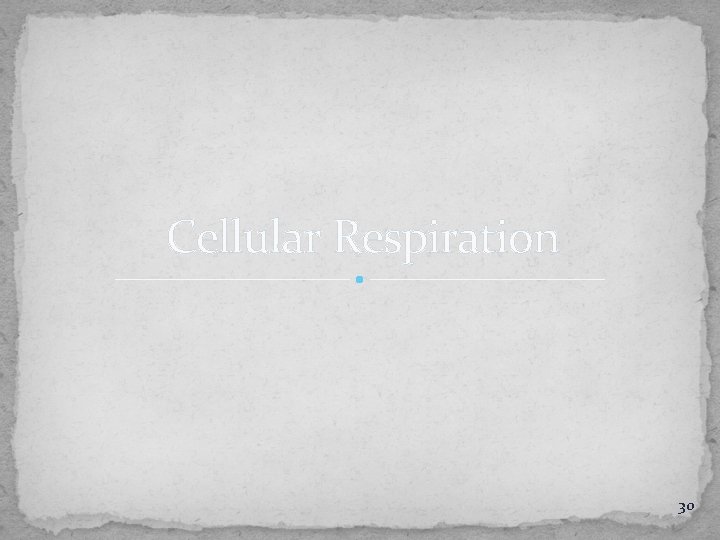 Cellular Respiration 30 