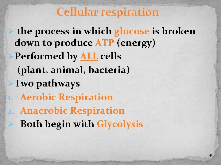 Cellular respiration Ø the process in which glucose is broken down to produce ATP