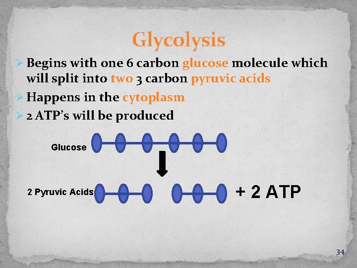 Glycolysis Ø Begins with one 6 carbon glucose molecule which will split into two