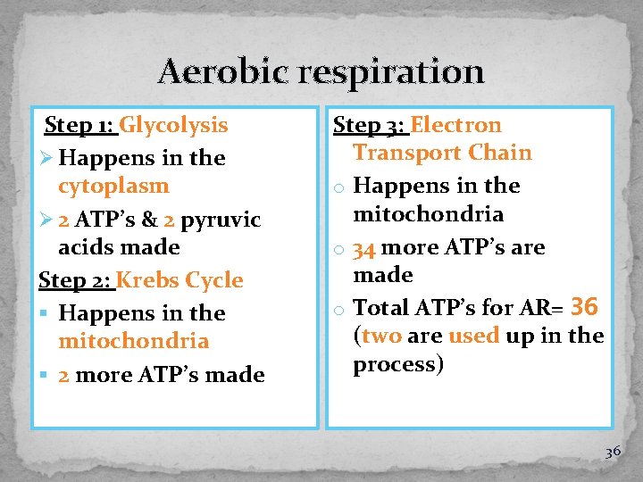 Aerobic respiration Step 1: Glycolysis Ø Happens in the cytoplasm Ø 2 ATP’s &