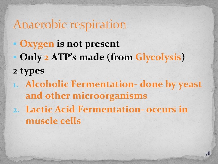 Anaerobic respiration § Oxygen is not present § Only 2 ATP’s made (from Glycolysis)