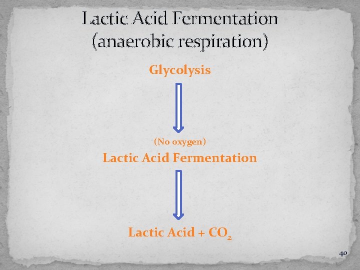 Lactic Acid Fermentation (anaerobic respiration) Glycolysis (No oxygen) Lactic Acid Fermentation Lactic Acid +