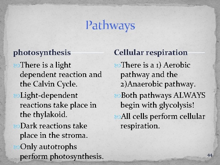 Pathways photosynthesis Cellular respiration There is a light There is a 1) Aerobic dependent