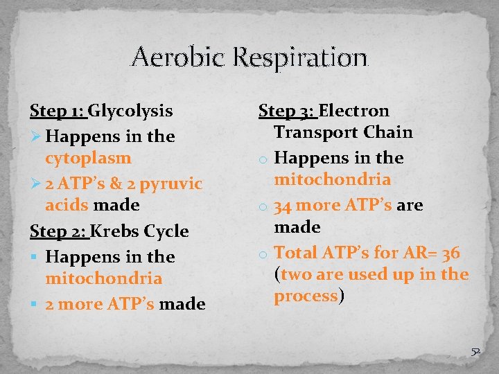 Aerobic Respiration Step 1: Glycolysis Ø Happens in the cytoplasm Ø 2 ATP’s &