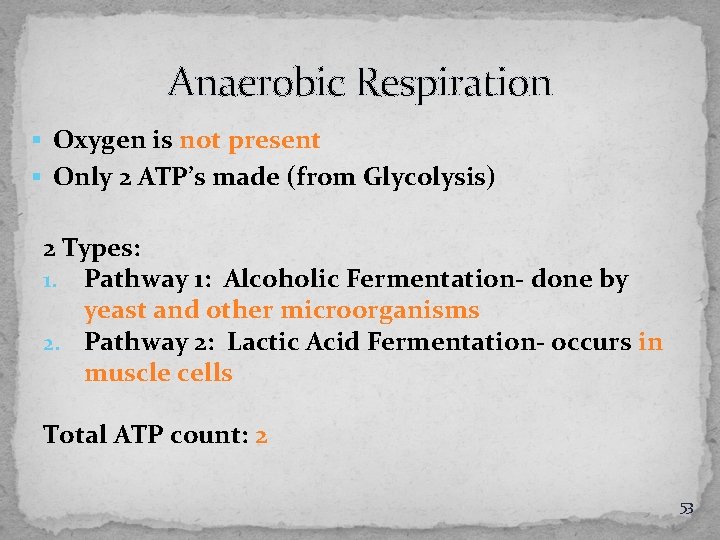 Anaerobic Respiration § Oxygen is not present § Only 2 ATP’s made (from Glycolysis)