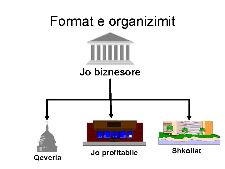 Format e organizimit Jo biznesore Qeveria Jo profitabile Shkollat 