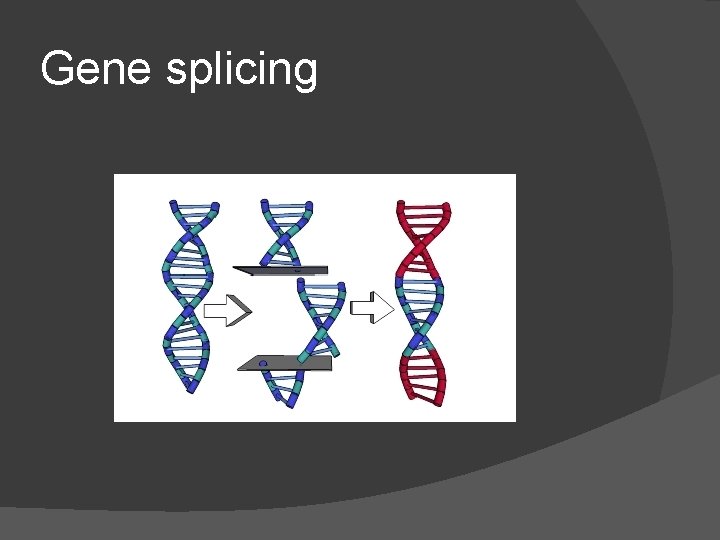 Gene splicing 