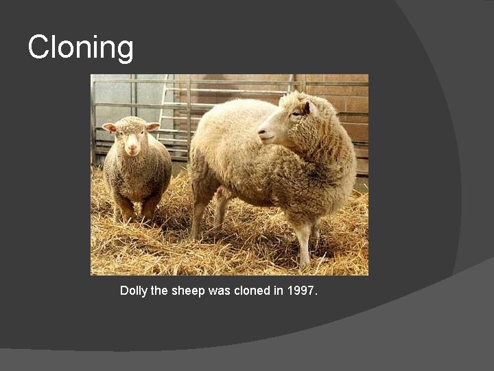 Cloning Dolly the sheep was cloned in 1997. 