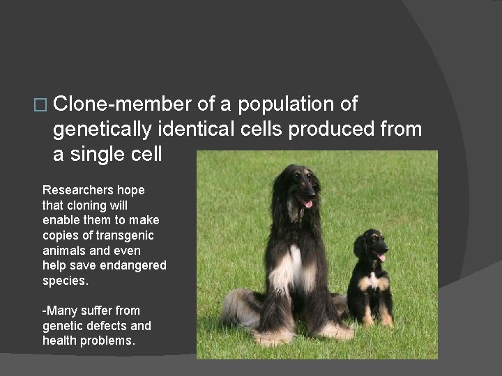 � Clone-member of a population of genetically identical cells produced from a single cell