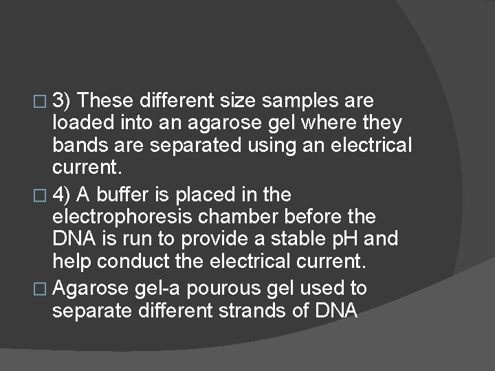 � 3) These different size samples are loaded into an agarose gel where they