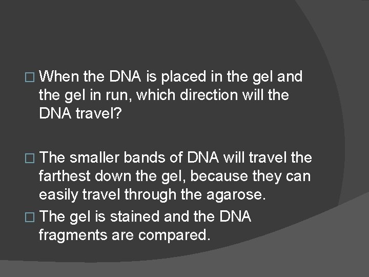 � When the DNA is placed in the gel and the gel in run,