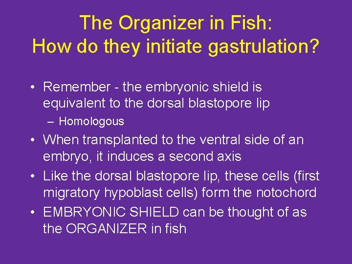 The Organizer in Fish: How do they initiate gastrulation? • Remember - the embryonic