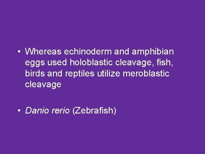  • Whereas echinoderm and amphibian eggs used holoblastic cleavage, fish, birds and reptiles