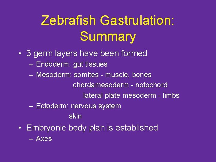 Zebrafish Gastrulation: Summary • 3 germ layers have been formed – Endoderm: gut tissues