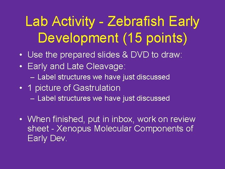Lab Activity - Zebrafish Early Development (15 points) • Use the prepared slides &