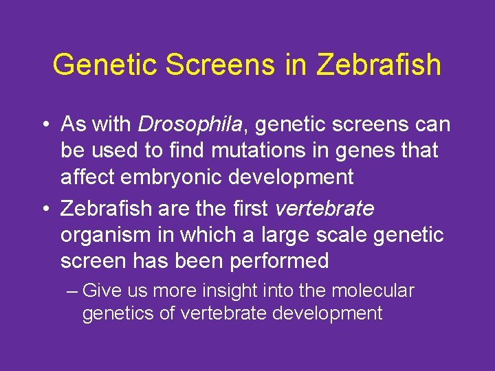 Genetic Screens in Zebrafish • As with Drosophila, genetic screens can be used to