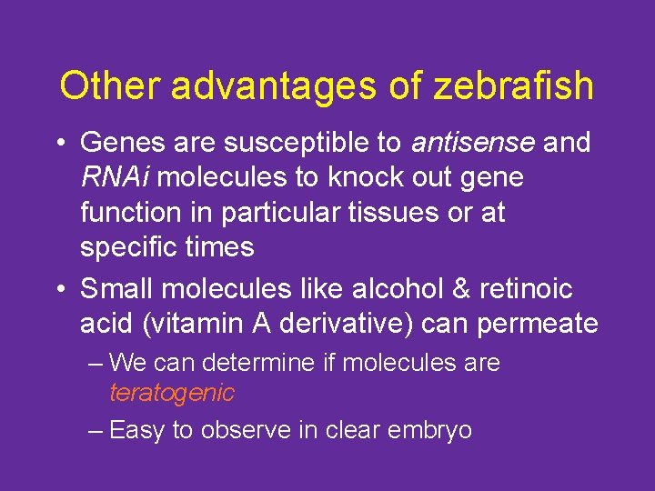 Other advantages of zebrafish • Genes are susceptible to antisense and RNAi molecules to