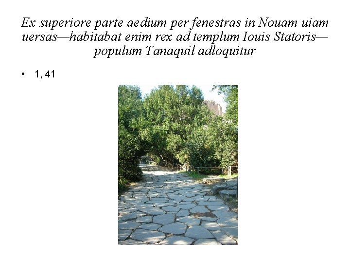 Ex superiore parte aedium per fenestras in Nouam uiam uersas—habitabat enim rex ad templum