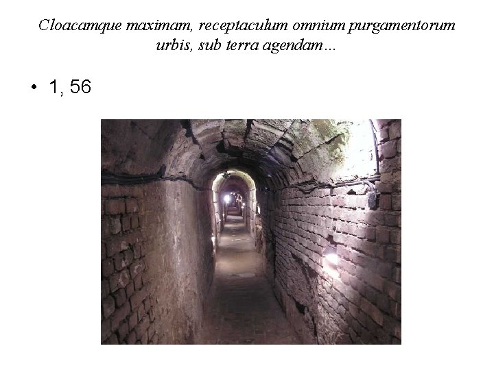 Cloacamque maximam, receptaculum omnium purgamentorum urbis, sub terra agendam… • 1, 56 