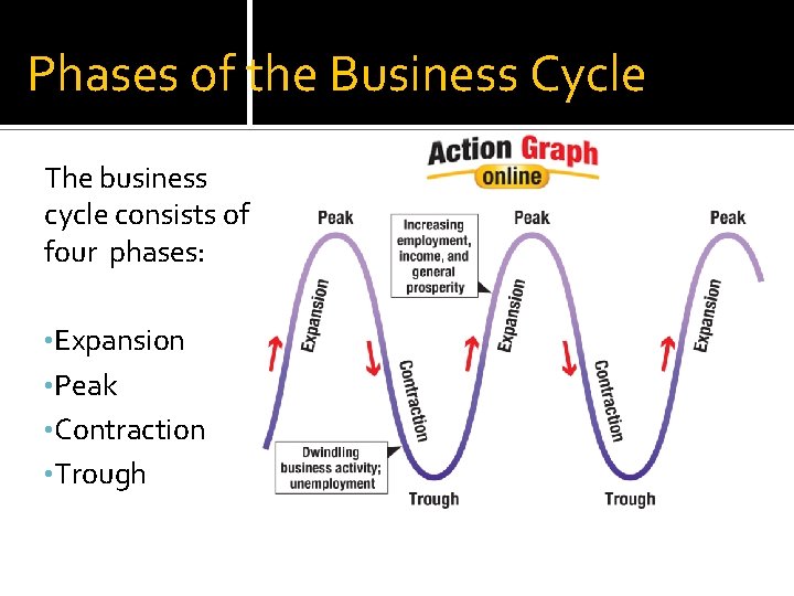 Phases of the Business Cycle The business cycle consists of four phases: • Expansion