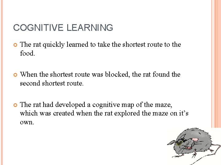 COGNITIVE LEARNING The rat quickly learned to take the shortest route to the food.