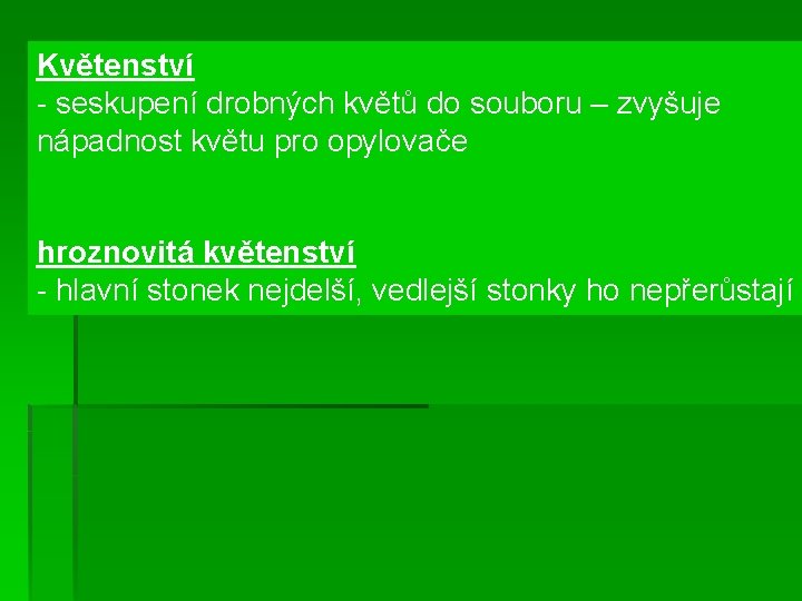 Květenství - seskupení drobných květů do souboru – zvyšuje nápadnost květu pro opylovače hroznovitá