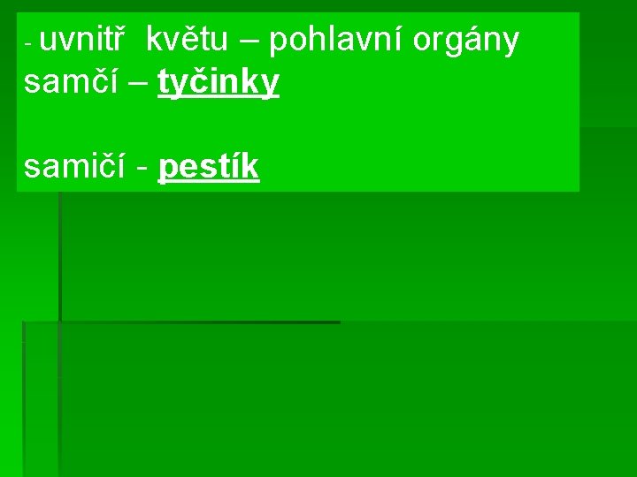 - uvnitř květu – pohlavní orgány samčí – tyčinky samičí - pestík 