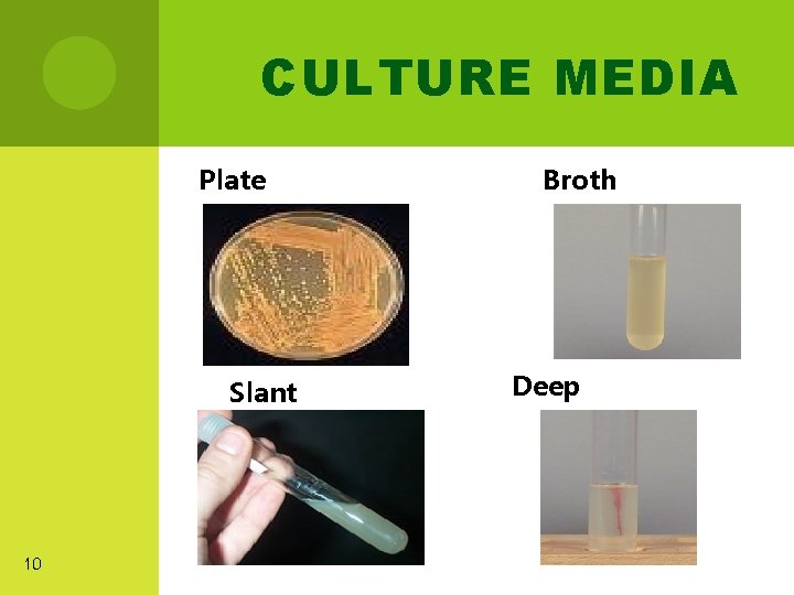 CULTURE MEDIA Plate Slant 10 Broth Deep 