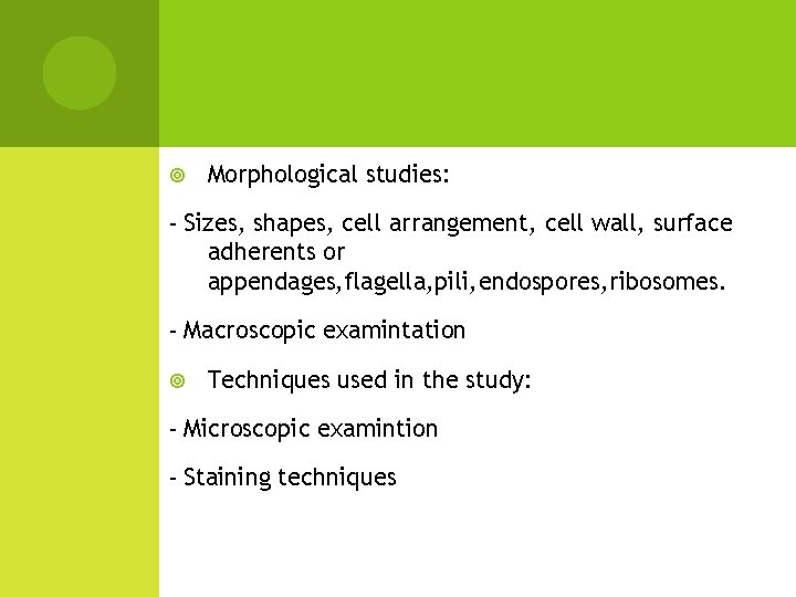  Morphological studies: - Sizes, shapes, cell arrangement, cell wall, surface adherents or appendages,