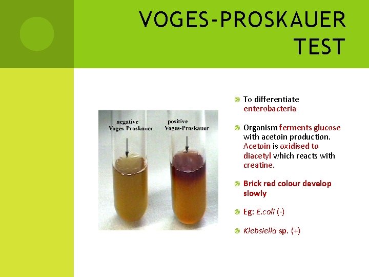 VOGES-PROSKAUER TEST To differentiate enterobacteria Organism ferments glucose with acetoin production. Acetoin is oxidised