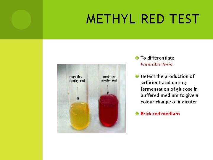 METHYL RED TEST To differentiate Enterobacteria. Detect the production of sufficient acid during fermentation